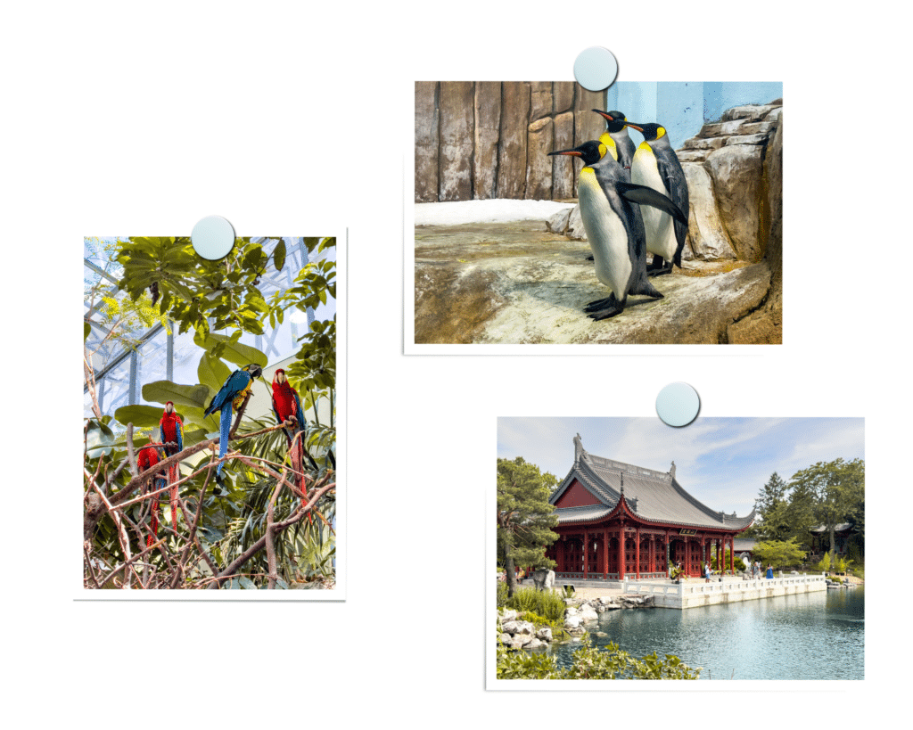 Vue du Biodôme de Montréal